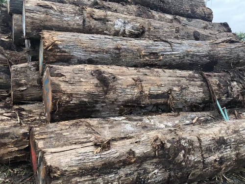 柚木原木 柚木原木